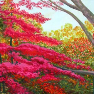 Japanese Maple (Sold)